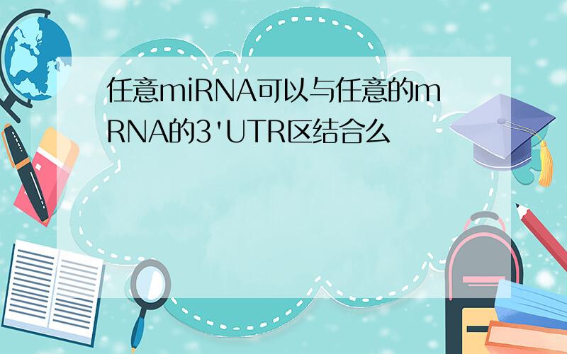 任意miRNA可以与任意的mRNA的3'UTR区结合么
