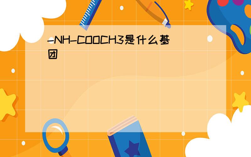 -NH-COOCH3是什么基团