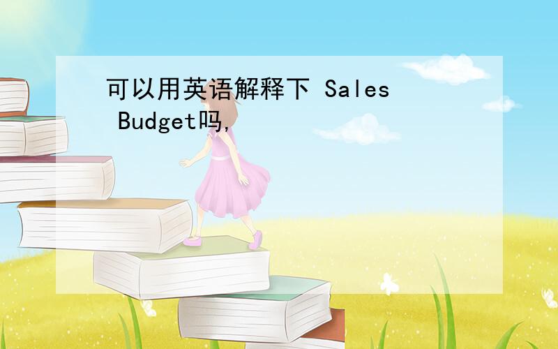 可以用英语解释下 Sales Budget吗,