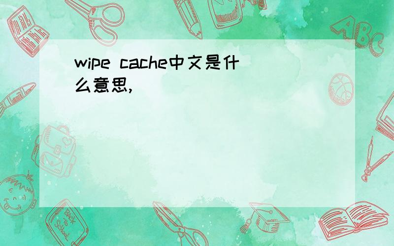 wipe cache中文是什么意思,