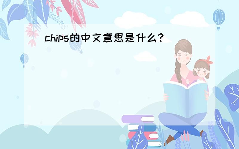 chips的中文意思是什么?