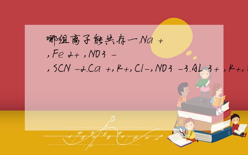 哪组离子能共存一.Na + ,Fe 2+ ,NO3 - ,SCN -2.Ca +,K+,Cl-,NO3 -3.AL 3+ ,K+,OH - ,NO3 -4.Na+,Ca 2+ ,Sio3 2-,Cl-