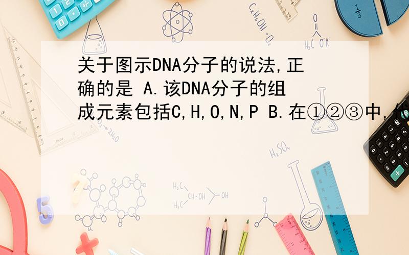 关于图示DNA分子的说法,正确的是 A.该DNA分子的组成元素包括C,H,O,N,P B.在①②③中,代表氢键的是③ C.该DNA复制时,只能以15N这条链为模板 D.DNA解旋酶的作用部位是①