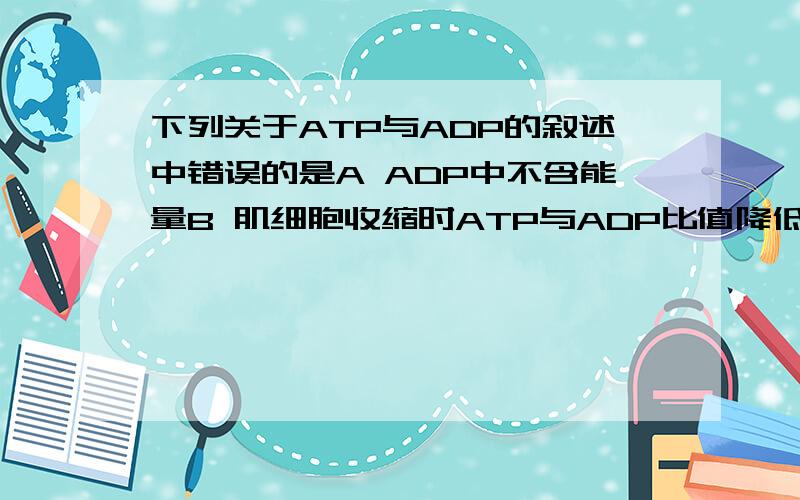 下列关于ATP与ADP的叙述中错误的是A ADP中不含能量B 肌细胞收缩时ATP与ADP比值降低C 细胞中的吸能和放能反应一般与ATP与ADP的相互转化有关D 细胞内ATP与ADP相互转化的能量供应机制是生物界的