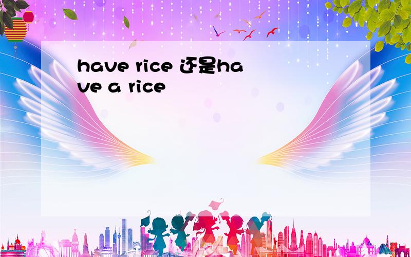 have rice 还是have a rice