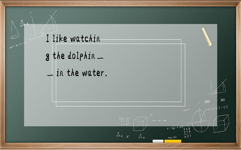 I like watching the dolphin__in the water.