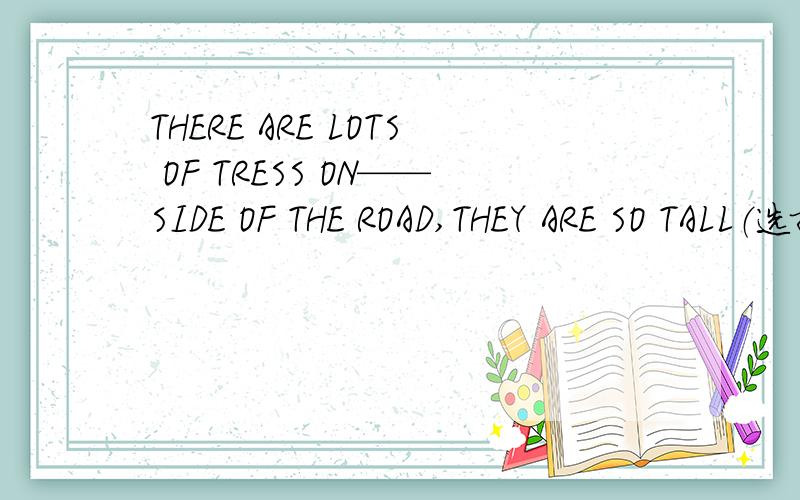 THERE ARE LOTS OF TRESS ON——SIDE OF THE ROAD,THEY ARE SO TALL（选择）A.each B.both C.every D.all