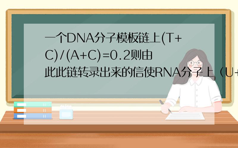 一个DNA分子模板链上(T+C)/(A+C)=0.2则由此此链转录出来的信使RNA分子上（U+C)/(A+G)等于