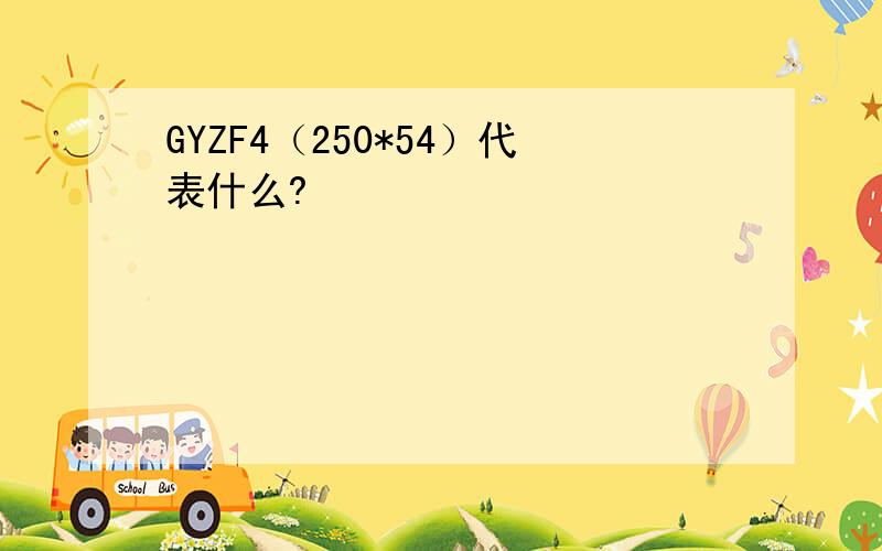 GYZF4（250*54）代表什么?