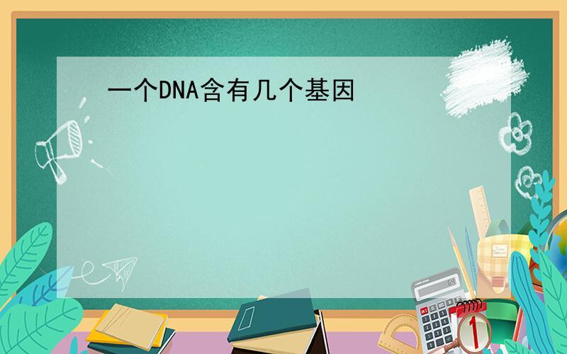 一个DNA含有几个基因
