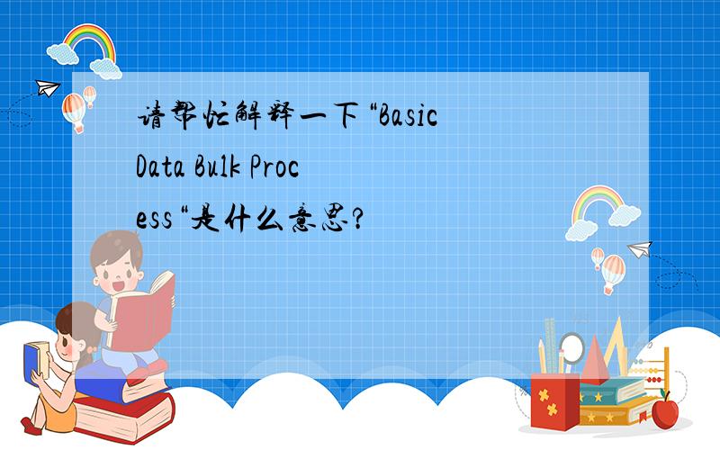 请帮忙解释一下“Basic Data Bulk Process“是什么意思?