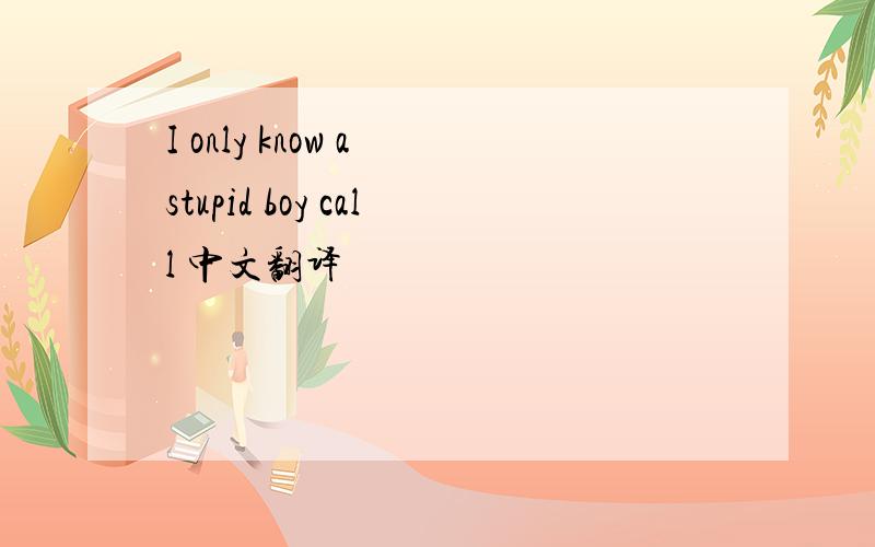 I only know a stupid boy call 中文翻译