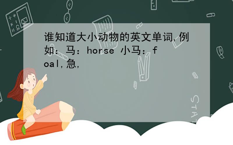 谁知道大小动物的英文单词,例如：马：horse 小马：foal,急,