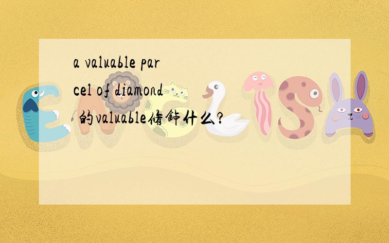 a valuable parcel of diamond 的valuable修饰什么?
