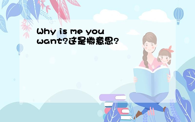 Why is me you want?这是撒意思?