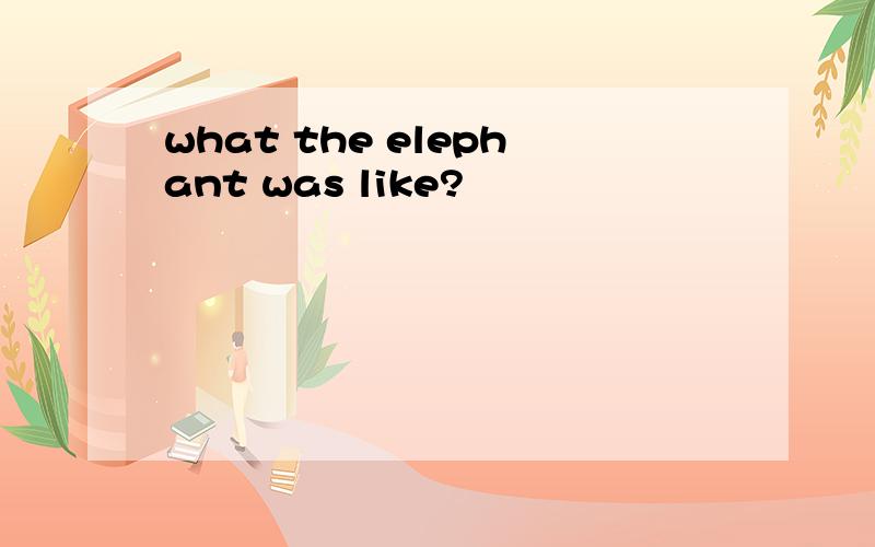 what the elephant was like?