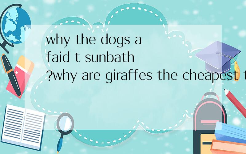 why the dogs afaid t sunbath?why are giraffes the cheapest to feed?why does time fly?