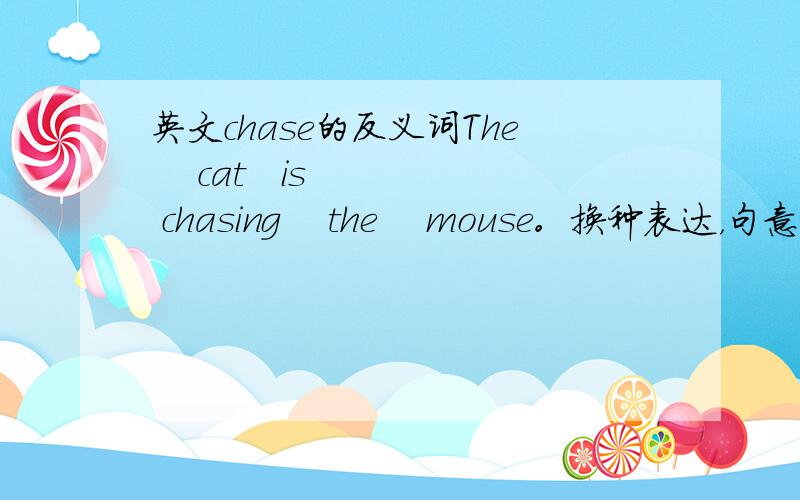 英文chase的反义词The    cat   is   chasing    the    mouse。换种表达，句意不变