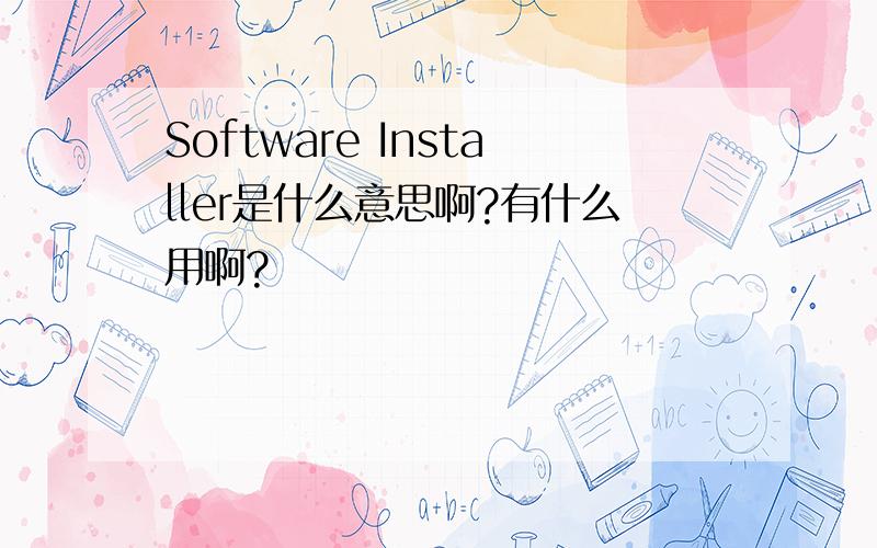 Software Installer是什么意思啊?有什么用啊?