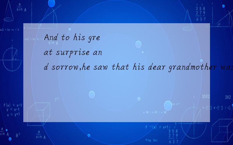 And to his great surprise and sorrow,he saw that his dear grandmother was seriously ill in bed ,looking very pale.翻译