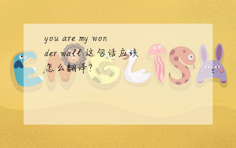 you are my wonder wall 这句话应该怎么翻译?