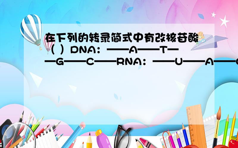 在下列的转录简式中有改核苷酸（ ）DNA：——A——T——G——C——RNA：——U——A——C——G——A.4种B.5种C.6种D.8种
