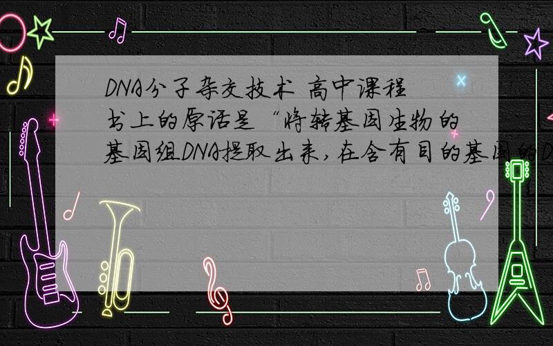 DNA分子杂交技术 高中课程书上的原话是“将转基因生物的基因组DNA提取出来,在含有目的基因的DNA 片段上用放射性同位素等标记,以此作为探针,使探针与基因组DNA杂交”(转基因生物的基因组D