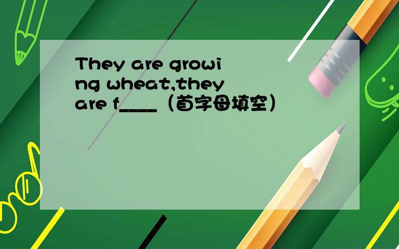 They are growing wheat,they are f____（首字母填空）