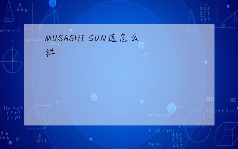MUSASHI GUN道怎么样