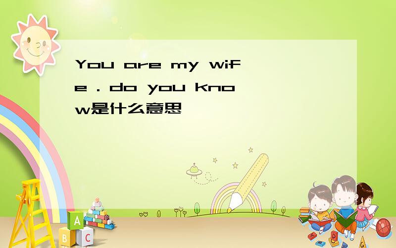 You are my wife . do you know是什么意思