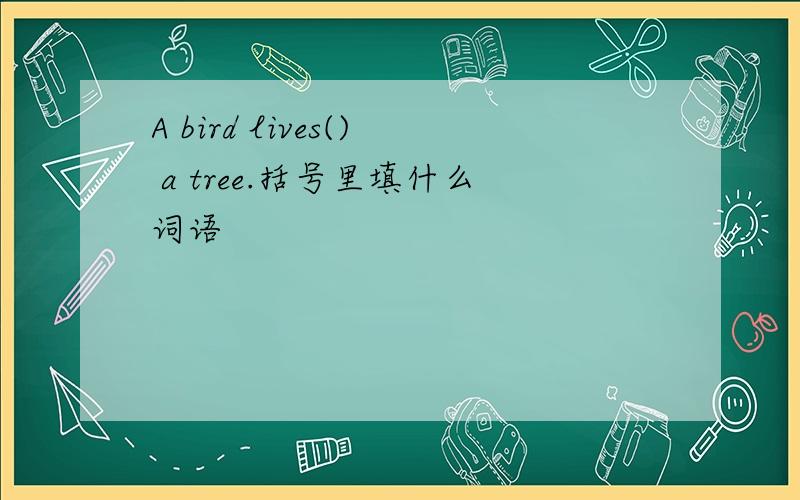 A bird lives() a tree.括号里填什么词语