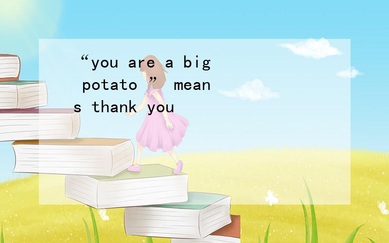 “you are a big potato ” means thank you