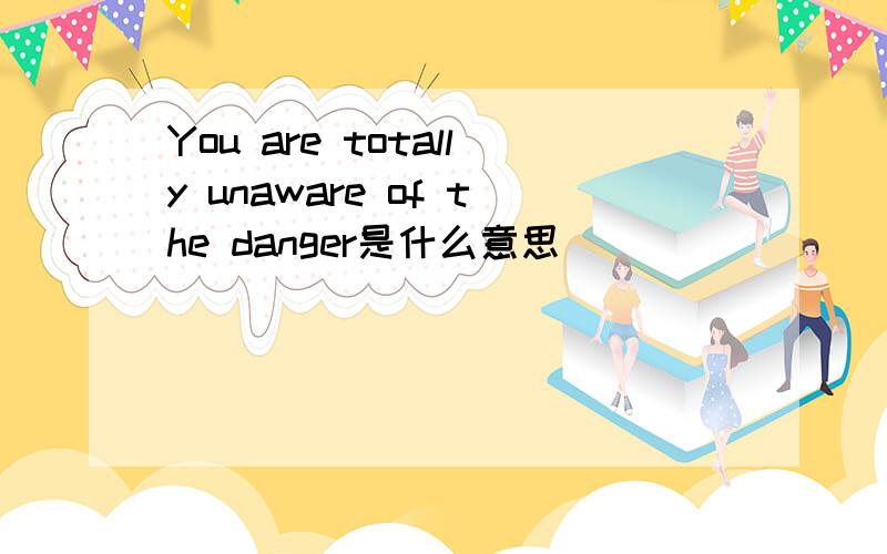 You are totally unaware of the danger是什么意思