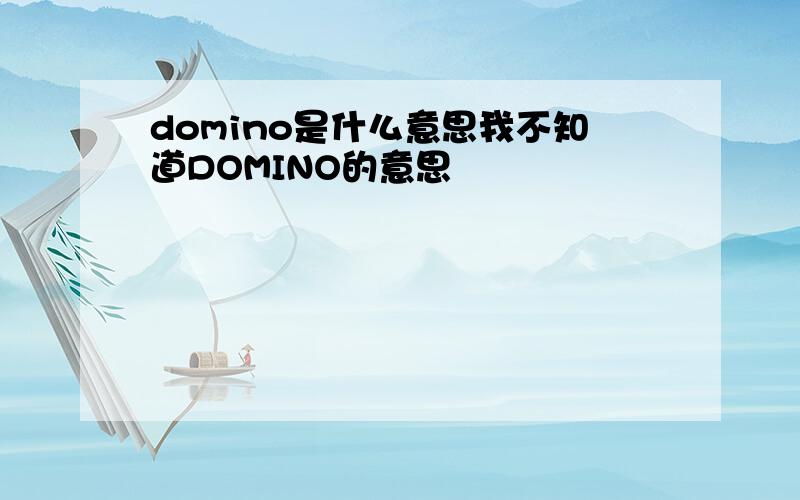 domino是什么意思我不知道DOMINO的意思