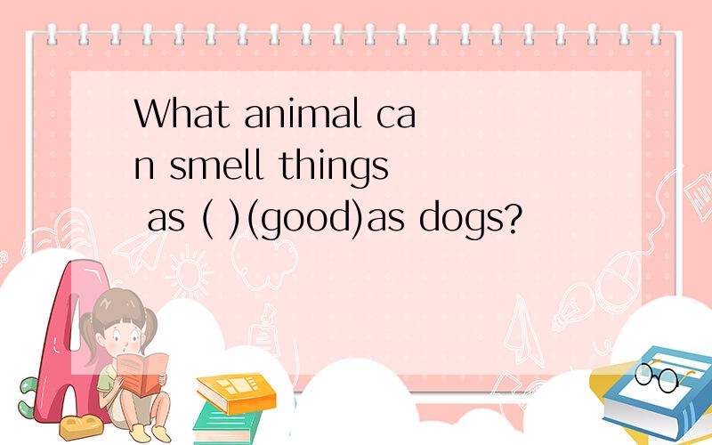 What animal can smell things as ( )(good)as dogs?