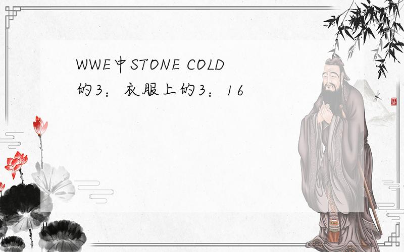 WWE中STONE COLD的3：衣服上的3：16