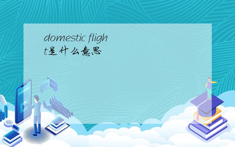 domestic flight是什么意思
