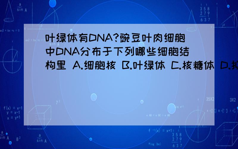 叶绿体有DNA?豌豆叶肉细胞中DNA分布于下列哪些细胞结构里 A.细胞核 B.叶绿体 C.核糖体 D.拟核 为什么不是AC而是AB