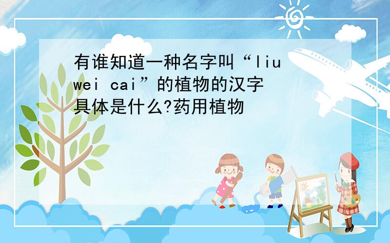 有谁知道一种名字叫“liu wei cai”的植物的汉字具体是什么?药用植物