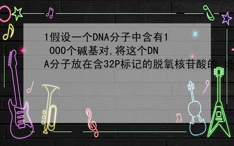 1假设一个DNA分子中含有1 000个碱基对,将这个DNA分子放在含32P标记的脱氧核苷酸的 培养基中让其复制一次,则新形成的DNA分子的相对分子质量比原来增加了（ ）A．1 000 B.2 000 C.500 D.无法确定2在