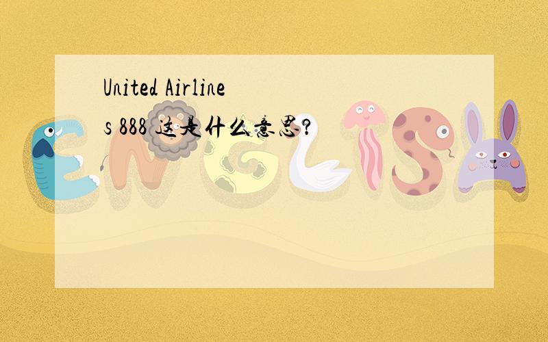 United Airlines 888 这是什么意思?