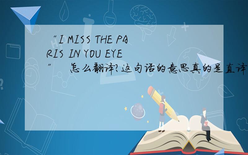 “I MISS THE PARIS IN YOU EYE”   怎么翻译?这句话的意思真的是直译吗？