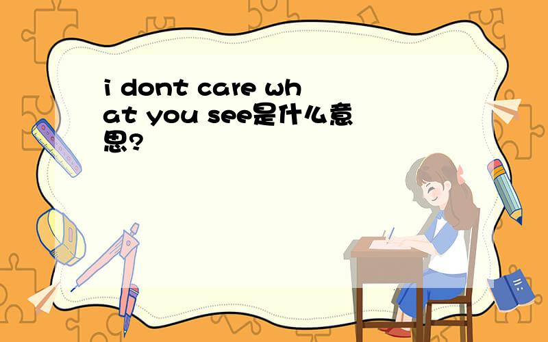 i dont care what you see是什么意思?