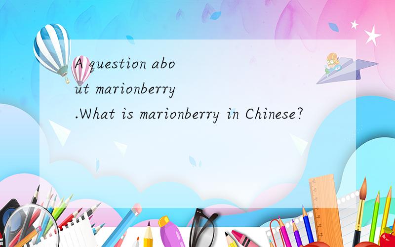 A question about marionberry.What is marionberry in Chinese?