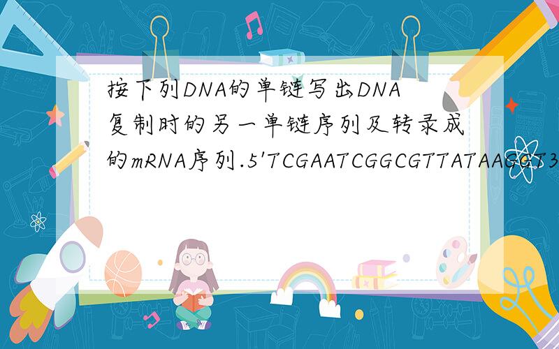 按下列DNA的单链写出DNA复制时的另一单链序列及转录成的mRNA序列.5'TCGAATCGGCGTTATAAGGT3'