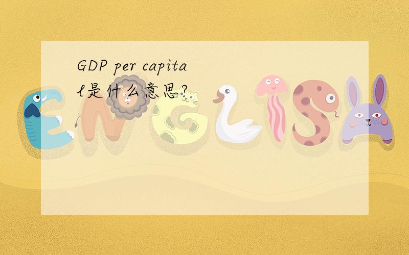 GDP per capital是什么意思?