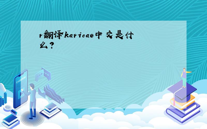 r翻译karicae中文是什么?