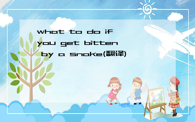 what to do if you get bitten by a snake(翻译)