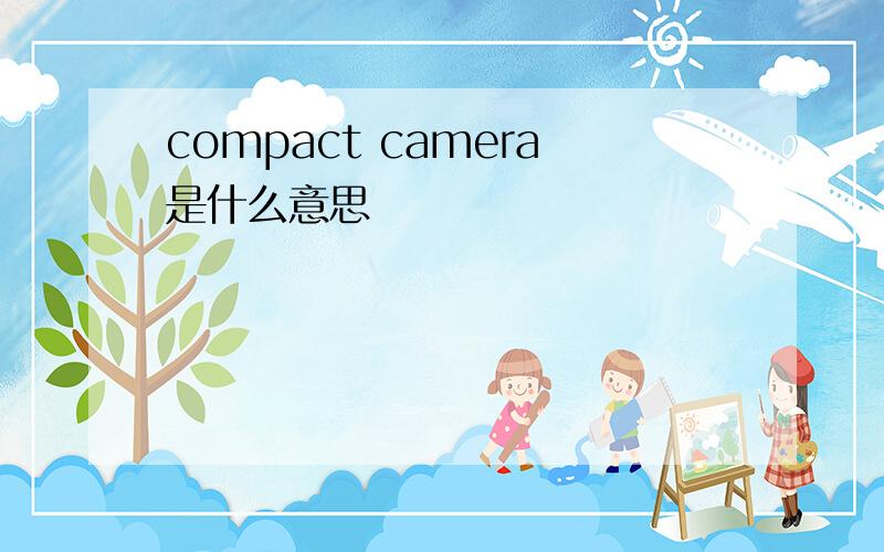 compact camera是什么意思