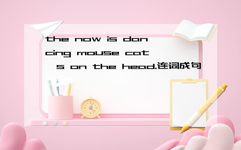 the now is dancing mouse cat's on the head.连词成句
